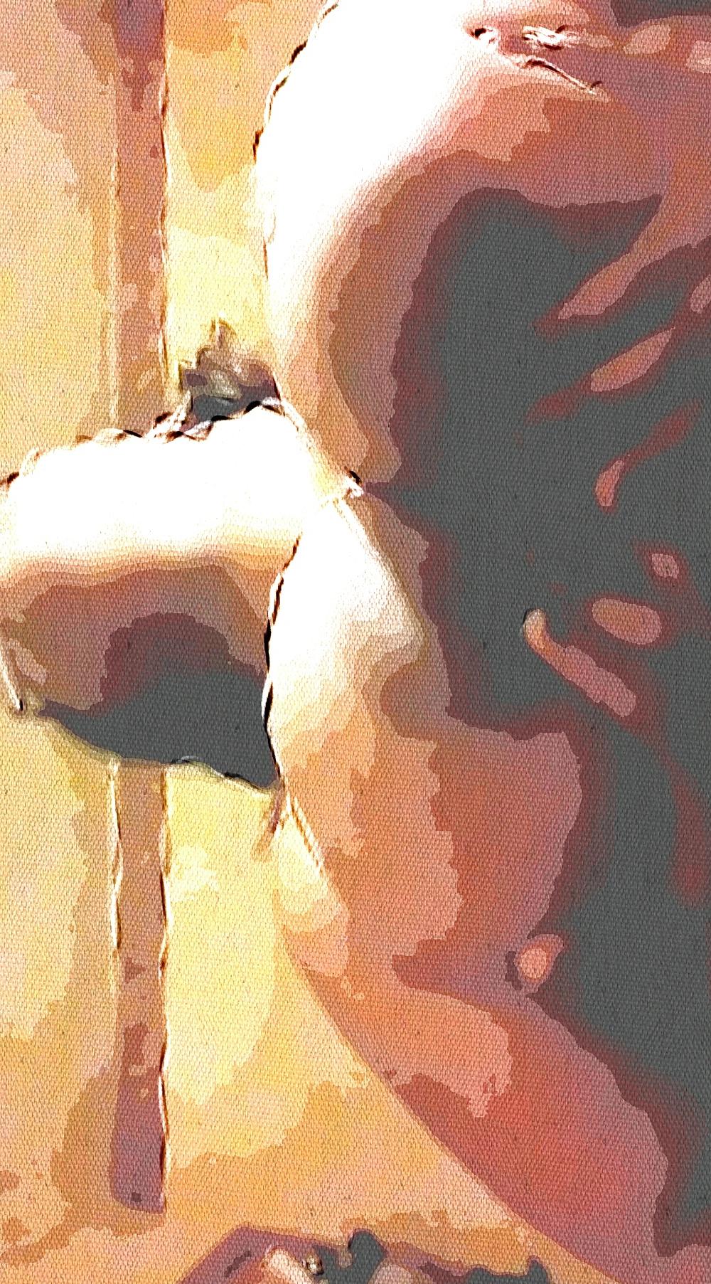 25P My bbw's titty art public