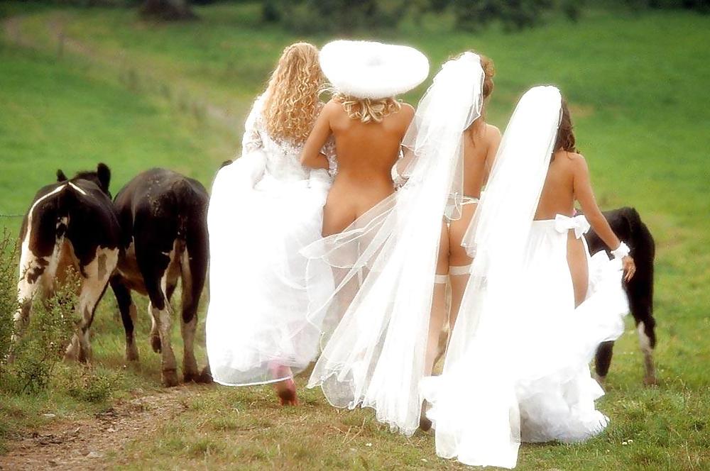 25P Some BRIDE PORN PICTURES #3