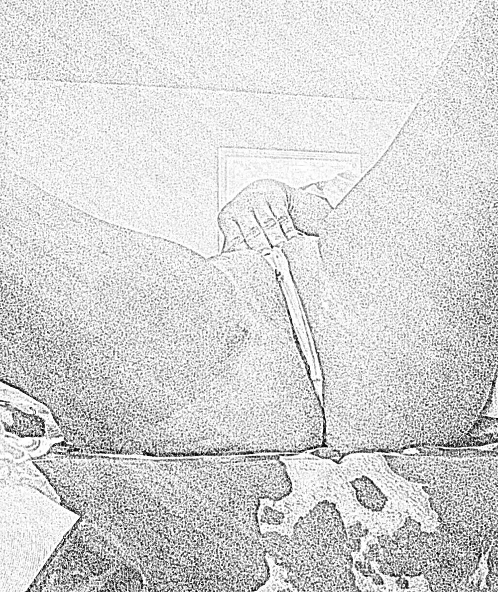 8P Our Texas Milf Sketch Art