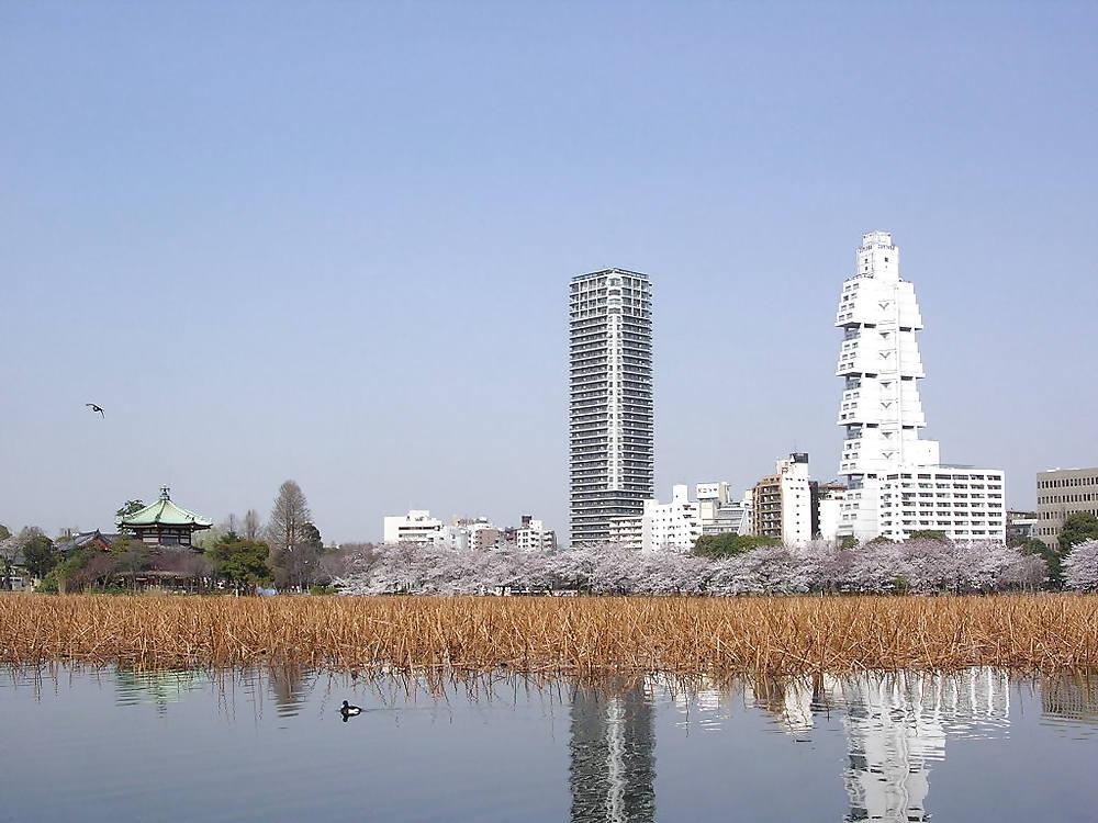 6P Tokyo