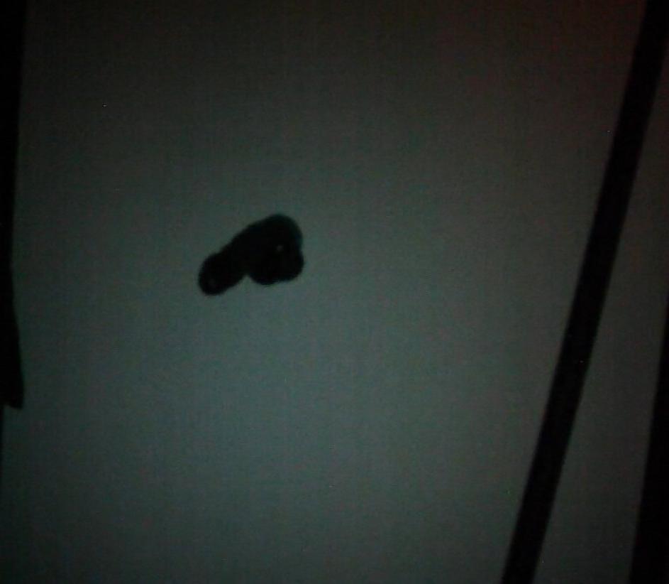25P Big Juicy Labia