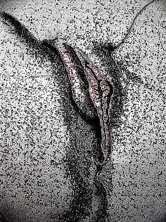 25P Sex art