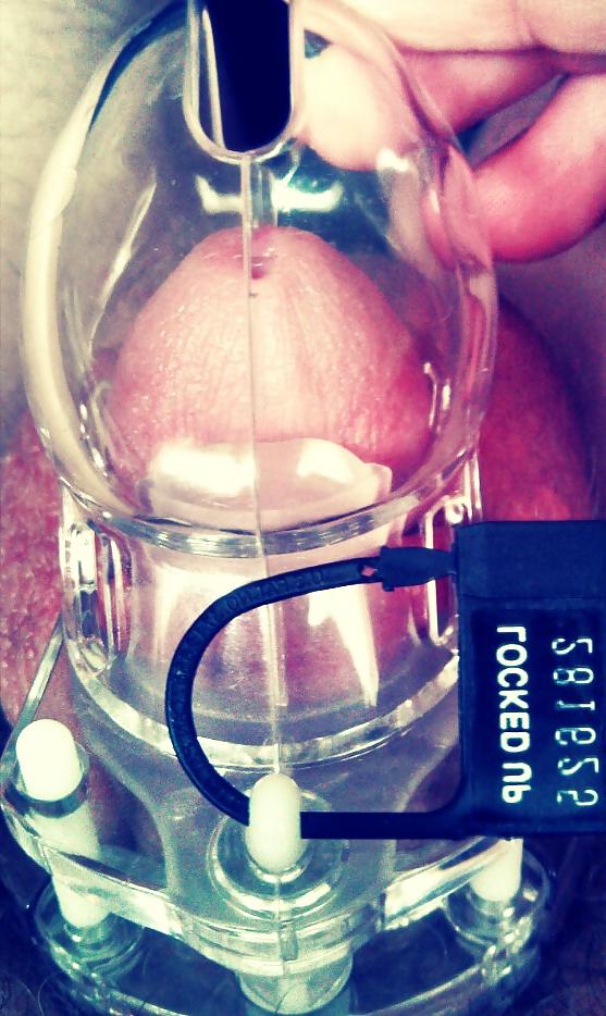 6P Sissy Bitch