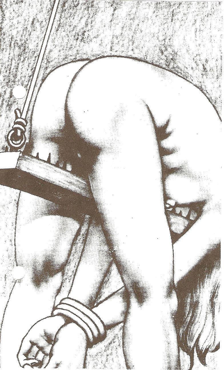 22P BDSM Art 01
