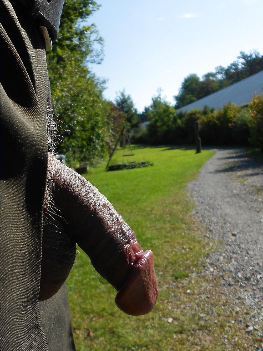 25P My juicy cock