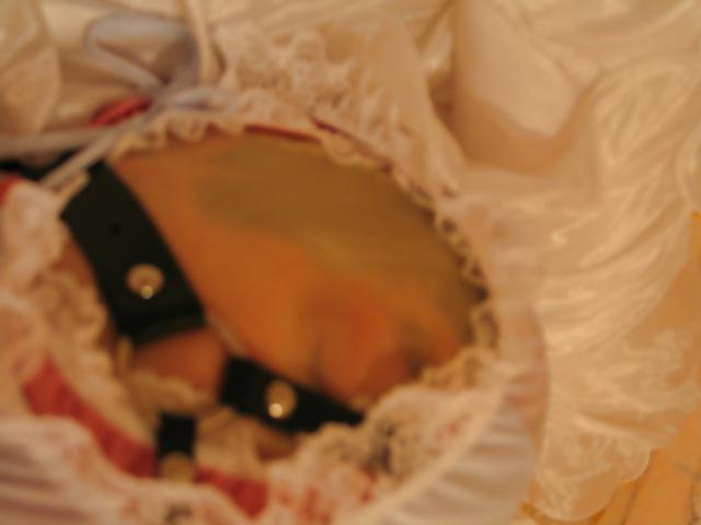 20P Shy sissy bride ,breathcontrol under the panties rubber hood