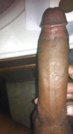 16P Big black tranny dicks 