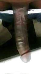 16P Big black tranny dicks 