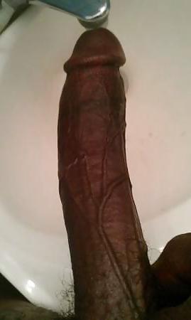 16P Big black tranny dicks 