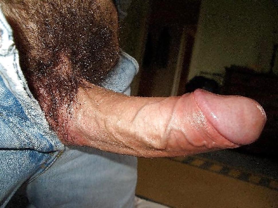 16P Perfect fat dicks  2