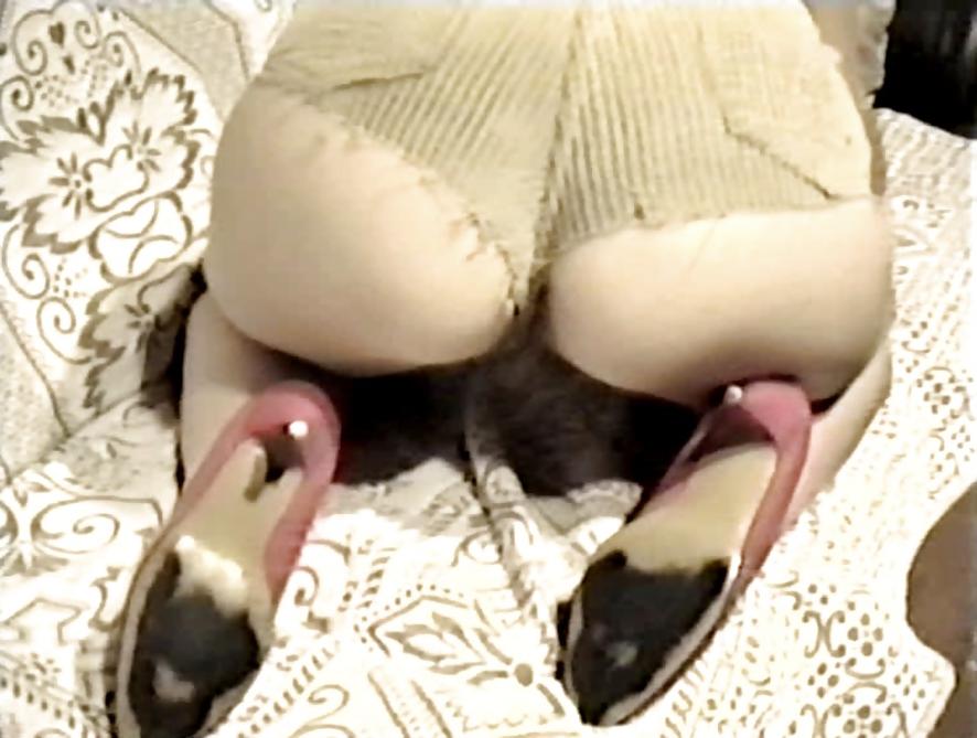 15P SAG - Busty Bitch In Her Sexy Hot Pants 01
