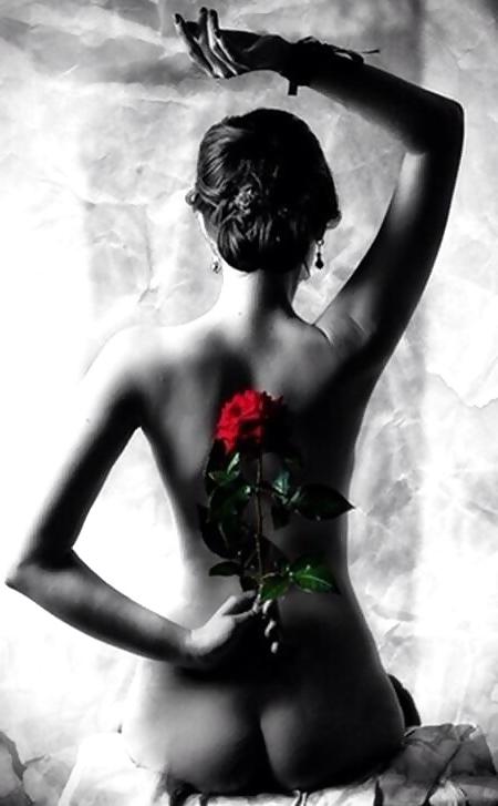 25P Art pics XXXVI
