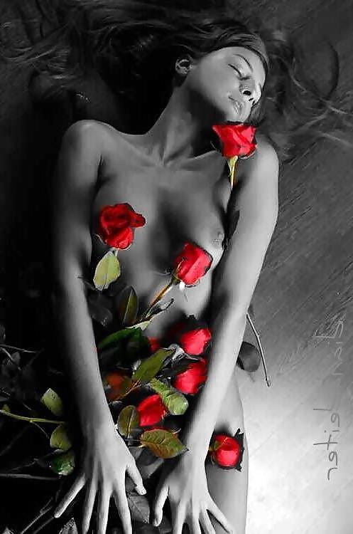 25P Art pics XXVI
