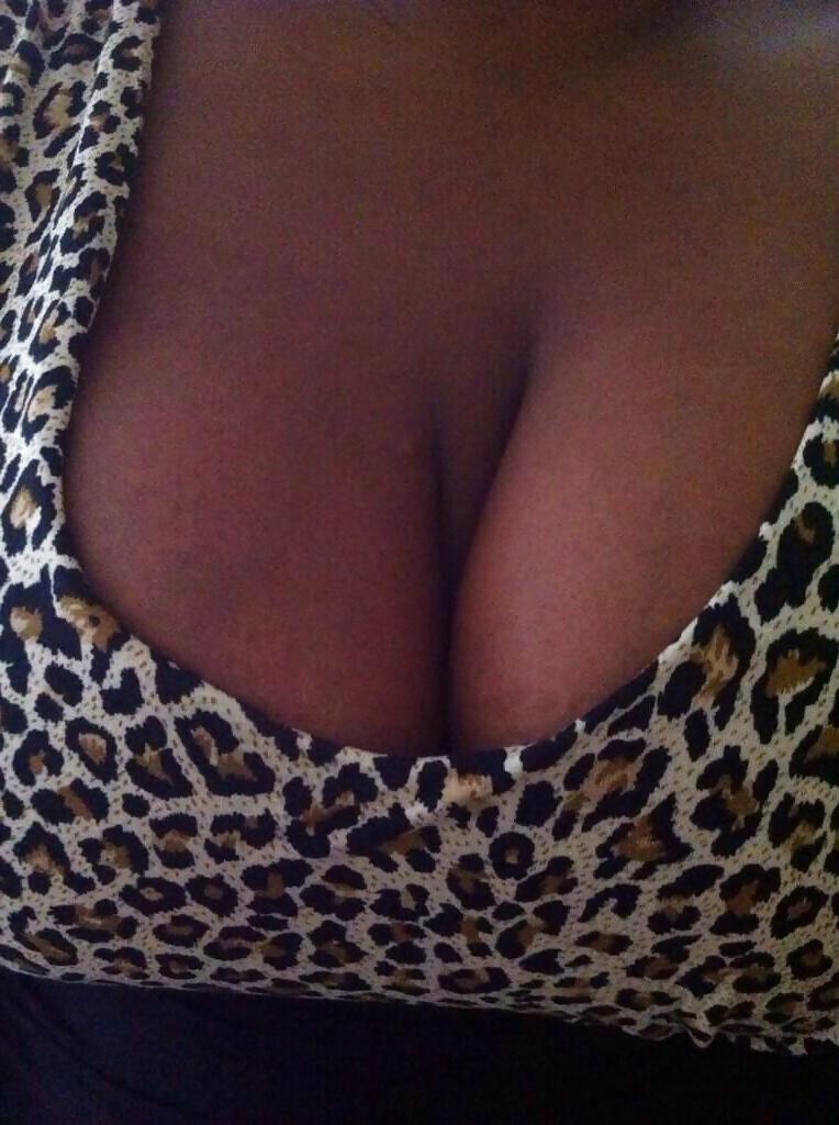24P Jungle fever clothing