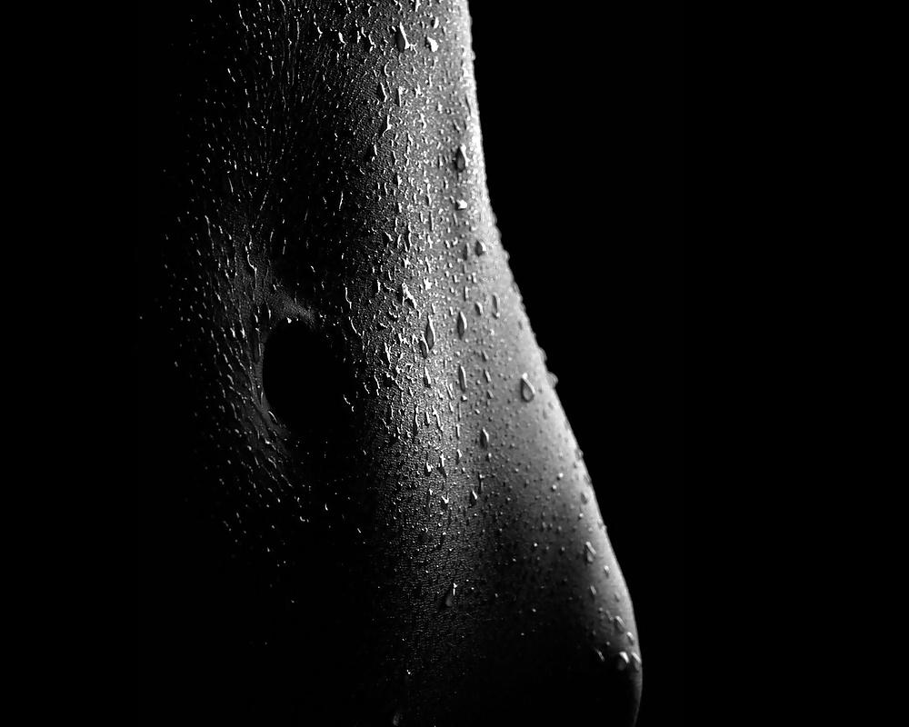 25P Art & Erotic pics