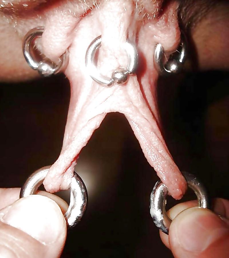14P Artful Art Of Body Art-Piercings & Body Jewelry #5