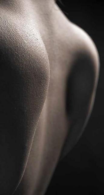 14P Female shoulder  