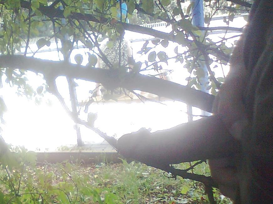 25P Czech flashing