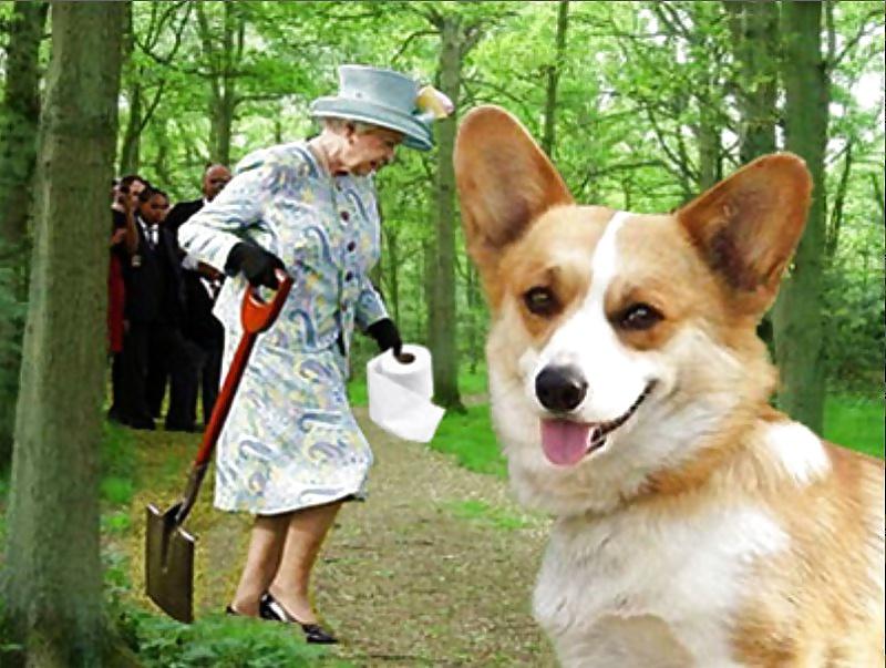 16P Her Majesty the Queen-num-001