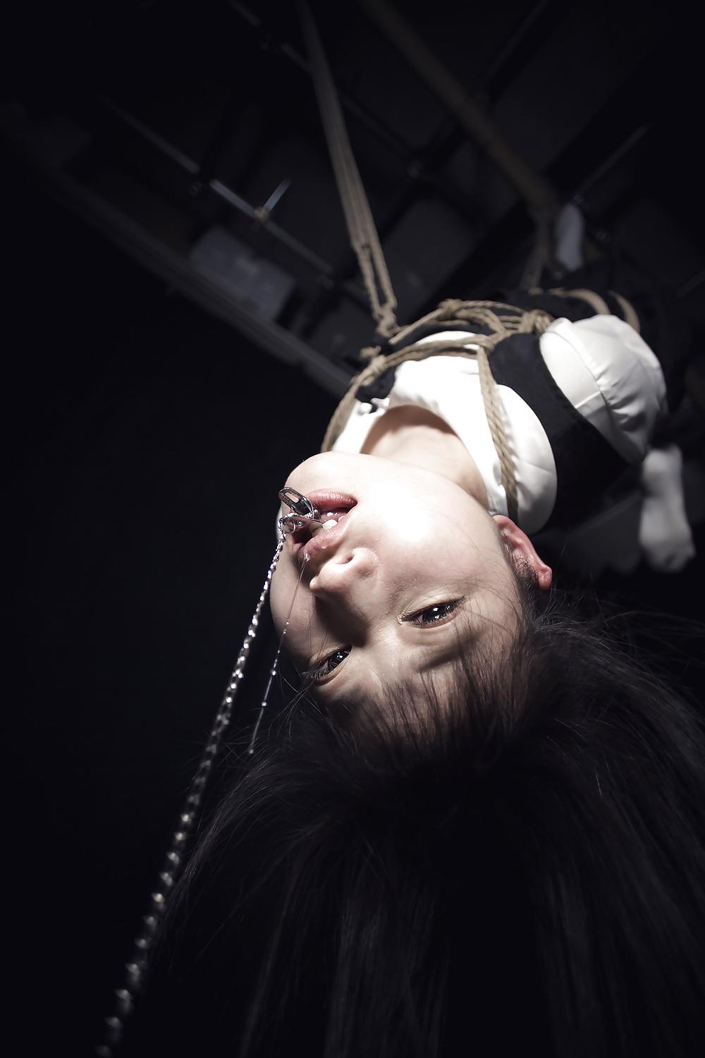 25P Shibari art.....