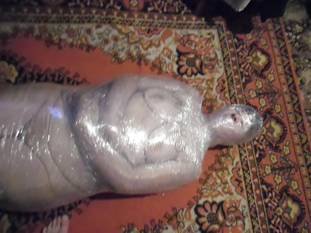 13P Mummification!