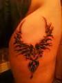 7P My tattoos and tongue piercing 