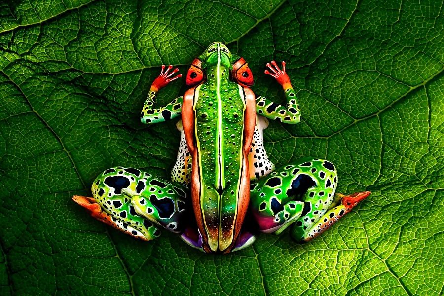 24P Body painting art....