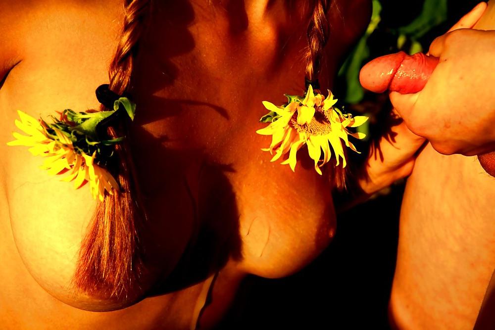 12P Art Porno 3