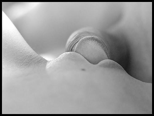 21P Artistic Erotic Photos from WEB