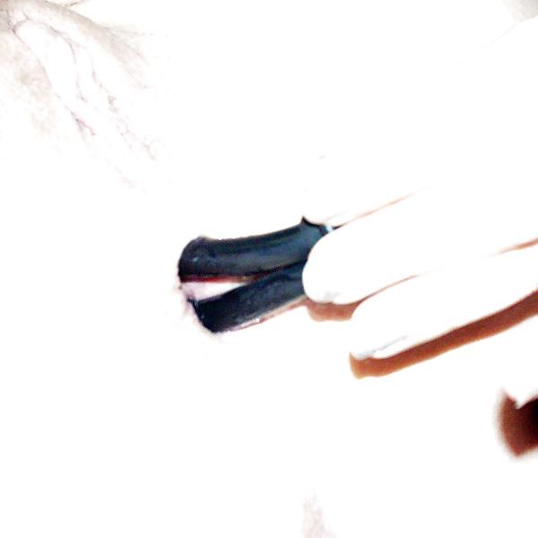 19P Amateur female electrostimulation. Estim. E-stim - 3. 