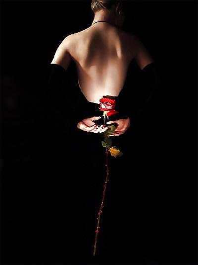 25P Erotic Art of Roses - Session 1