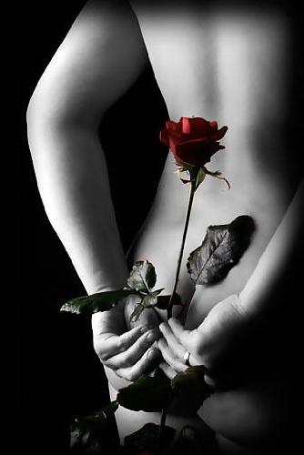 25P Erotic Art of Roses - Session 1