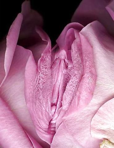 25P Erotic Art of Roses - Session 1