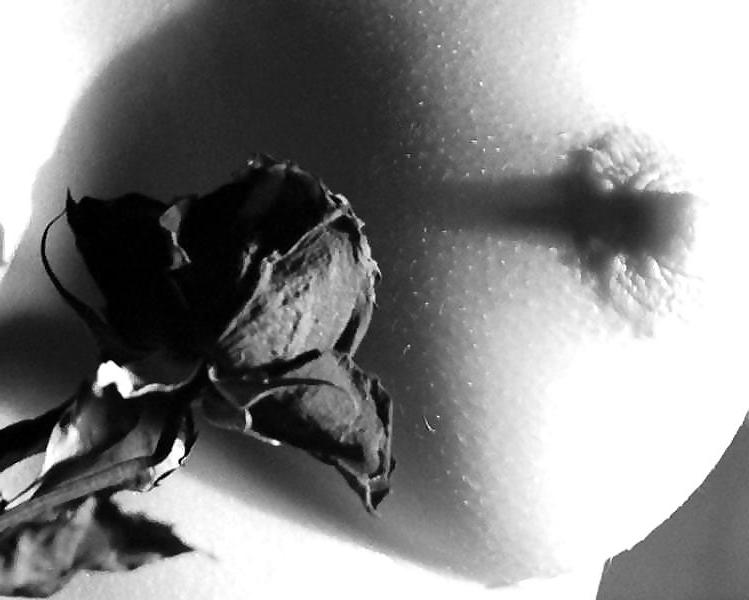 25P Erotic Art of Roses - Session 1
