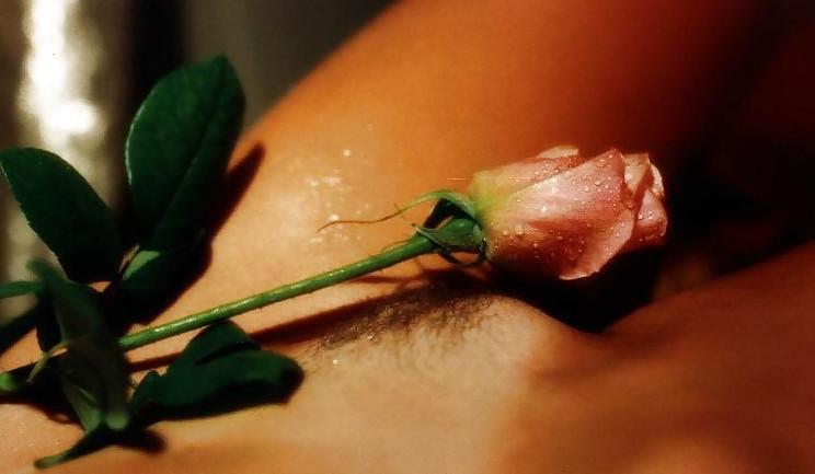 25P Erotic Art of Roses - Session 1
