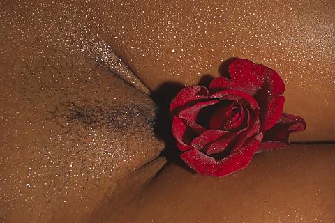 25P Erotic Art of Roses - Session 1