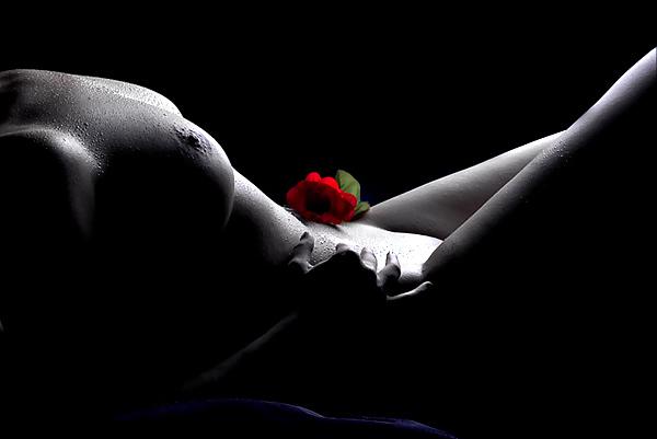 25P Erotic Art of Roses - Session 1
