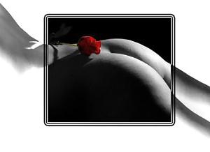 25P Erotic Art of Roses - Session 1