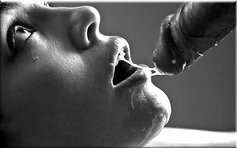 25P Lion's: Pure Erotic Art! (3)