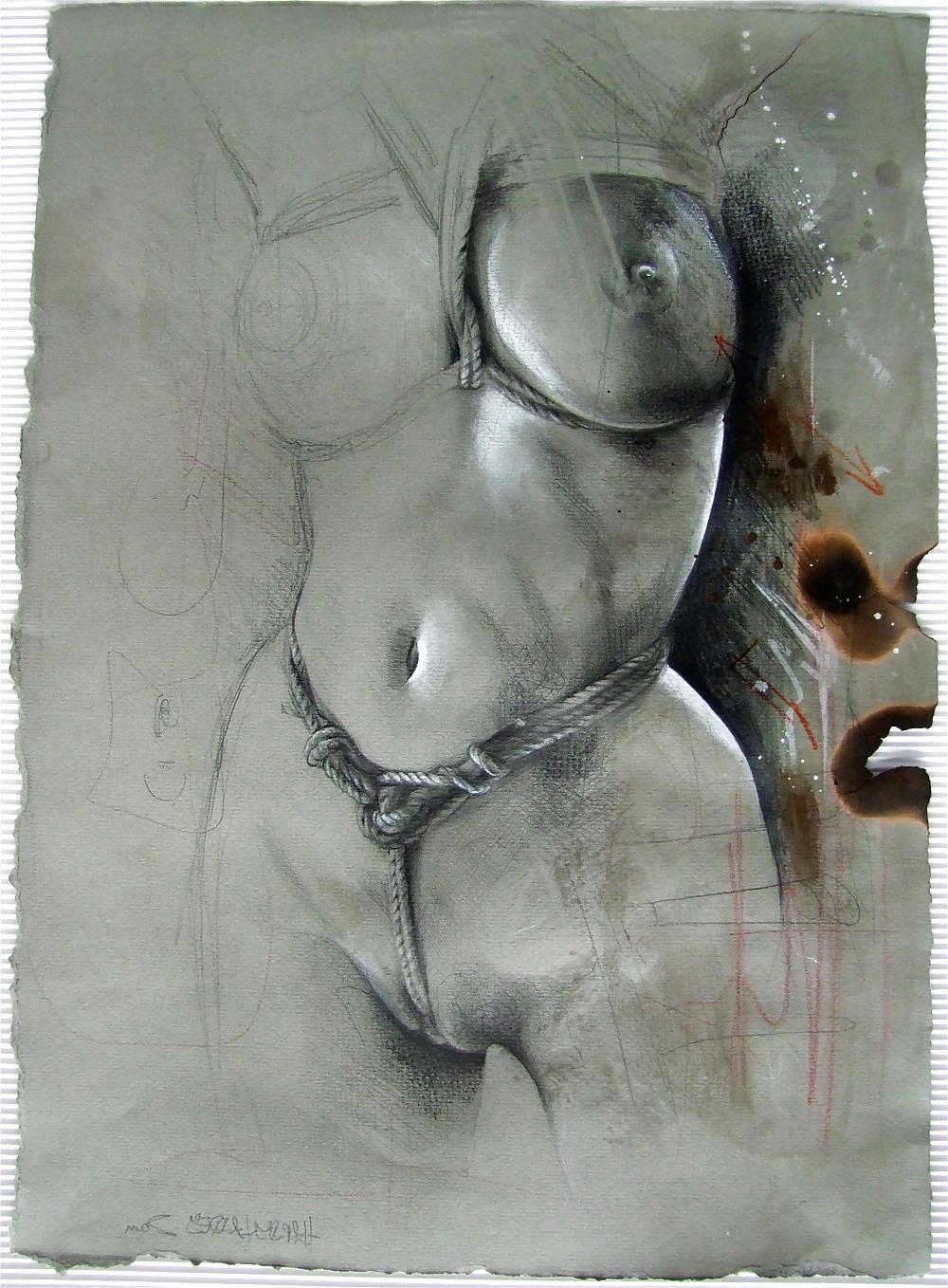 25P Eroticart von hardy laddey