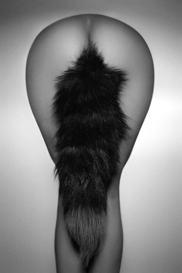 24P Babes with Tail Buttplugs  Tails Plugs