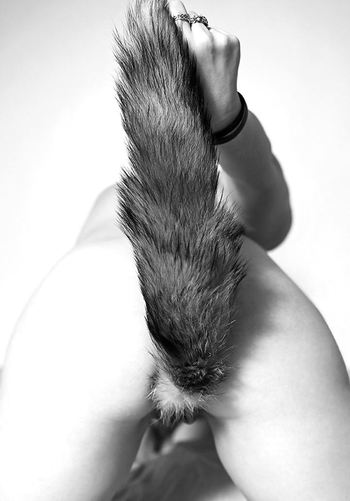 24P Babes with Tail Buttplugs  Tails Plugs