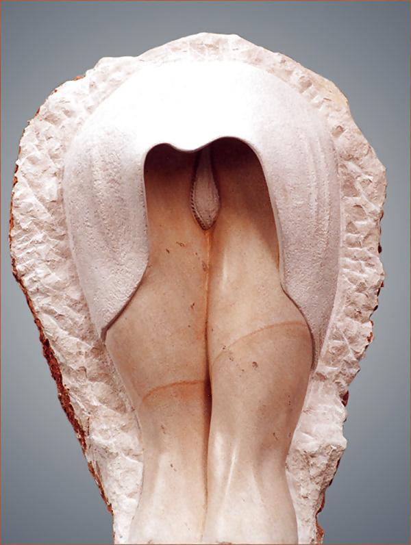 25P EROTIC FOLK ART