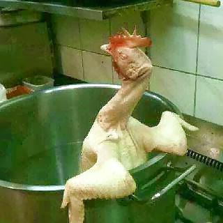 25P Weird & some funny pictures part 3 2014