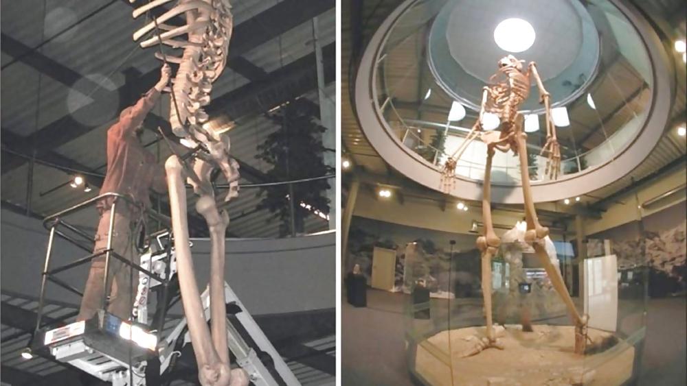 25P Weird & some funny pictures part 3 2014