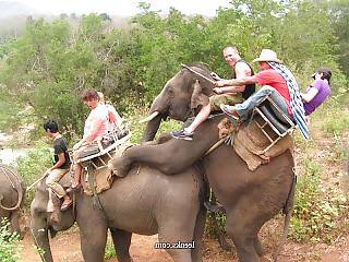 25P Weird & funny pictures part 2 2014