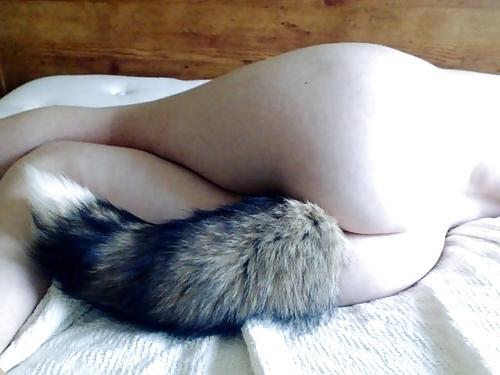 25P Tail plugs III