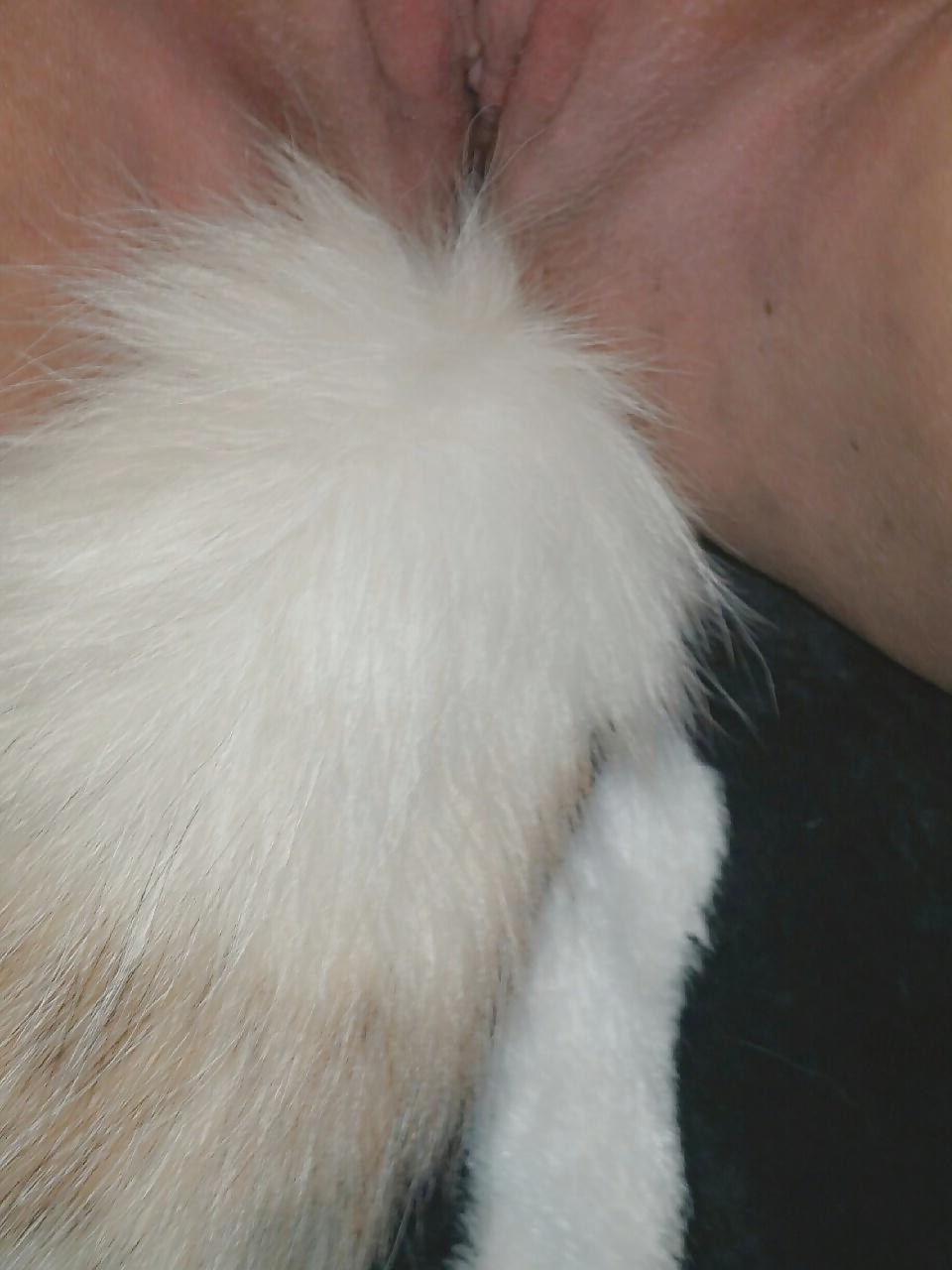25P Tail plugs IV