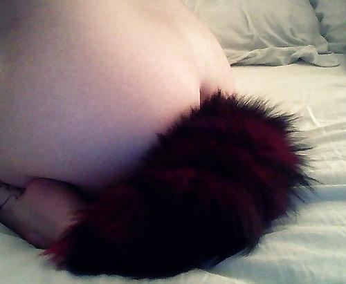 25P Tail plugs IV