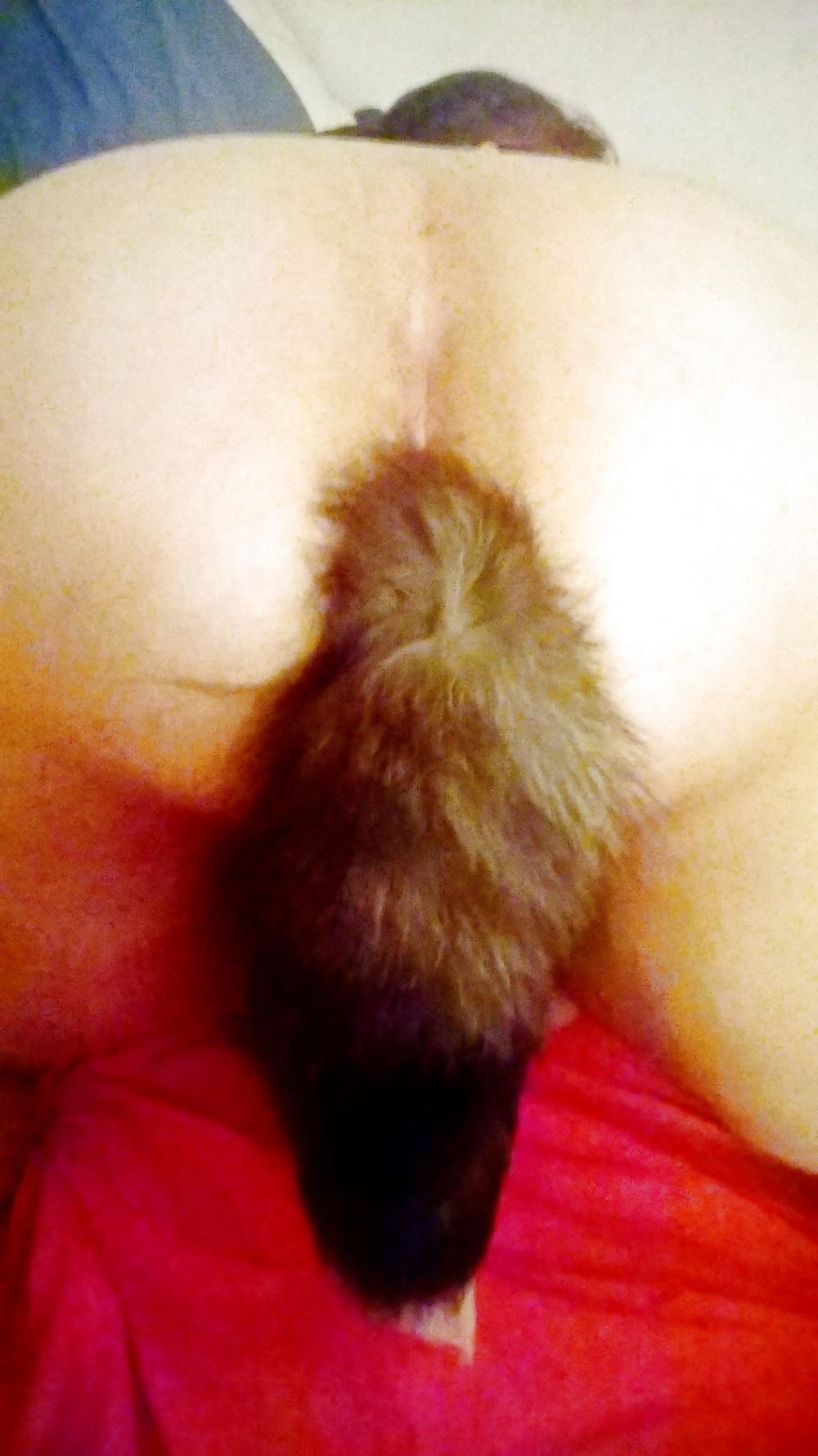 25P Tail plugs IV